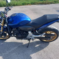 Honda hornet