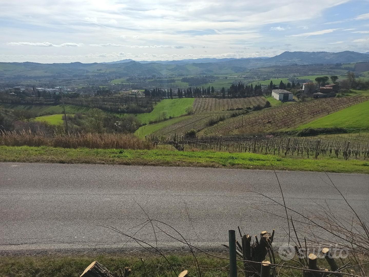 terreno agricolo a vigneto e terreno nudo - Vista 2