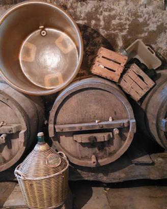 Botti per vino, damigiane, contenitore in resina