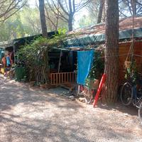 Roulotte con veranda in legno