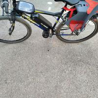 bicicletta elettrica 