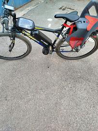 bicicletta elettrica 