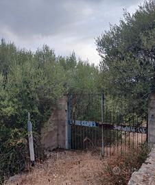 terreno agricolo 5825mq