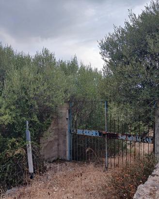 terreno agricolo 5825mq