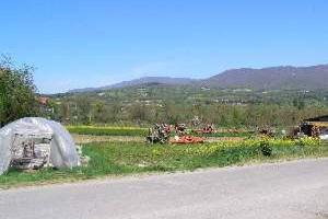 Terreno di 12000 m² a Sansepolcro