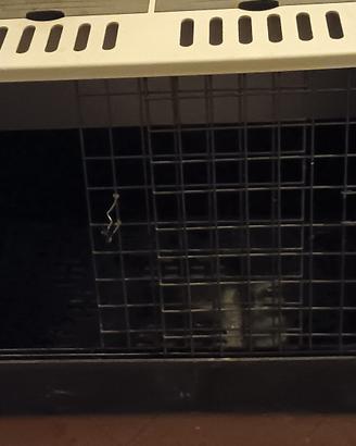 gabbia x trasporto cane 