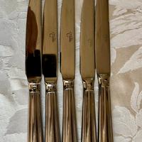 Coltello in acciaio inox da bistecca- set 5 pezzi
