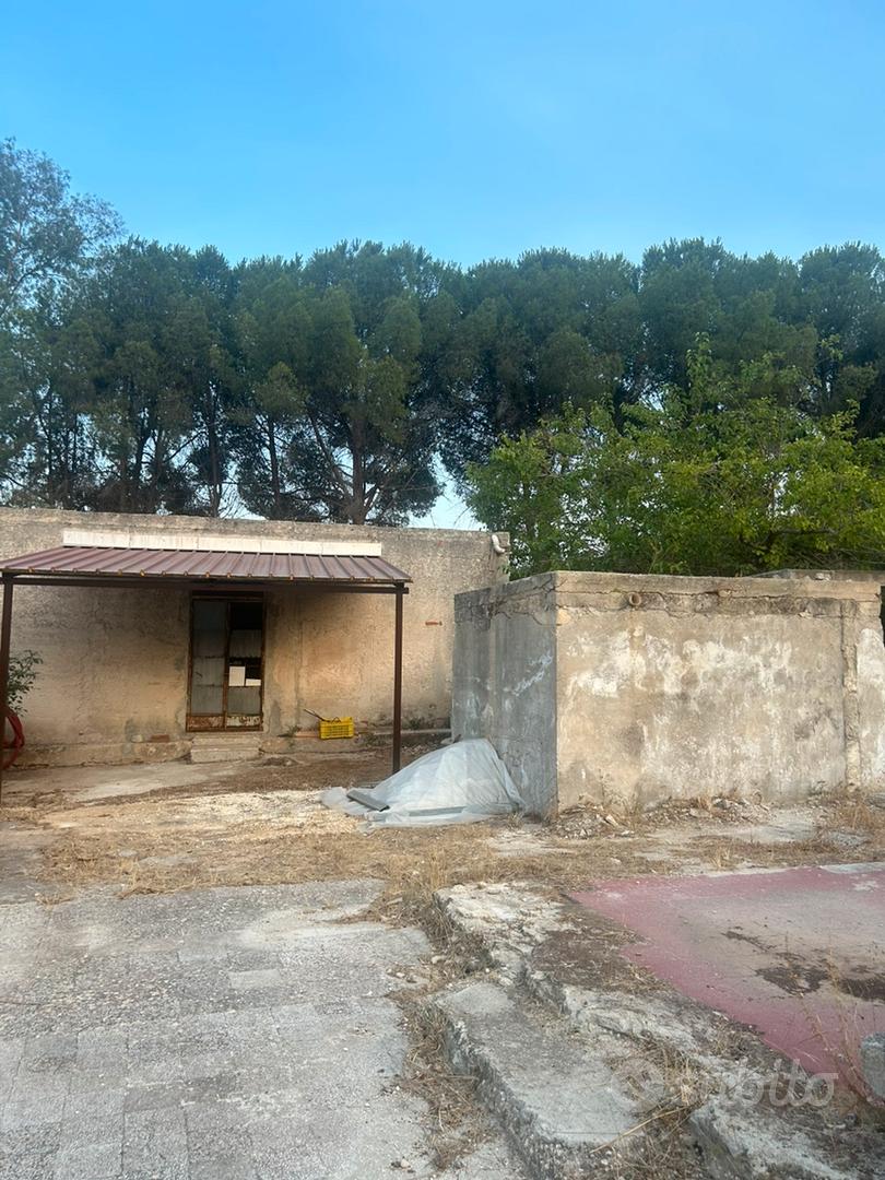 terreno per uso agricolo - Vista 5