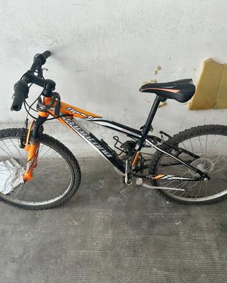 Bici montana