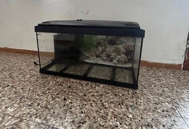 acquario