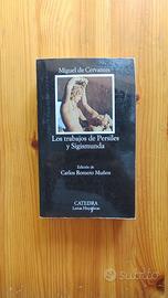 Los trabajos de Persiles y Sigismunda (ESP)