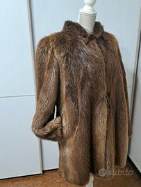pelliccia vero castoro selvaggio