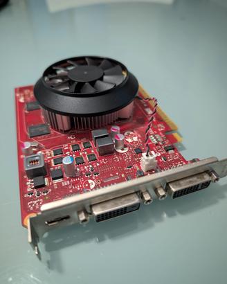 Scheda Video Dell NVIDIA GeForce GTX 750 Ti 2GB