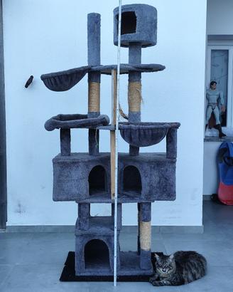 Tiragraffi Gatti Cuccia Torre Gigante alto 2Mt