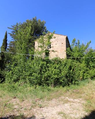 Casale / Rustico - Ripatransone