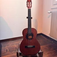 Chitarre acustiche