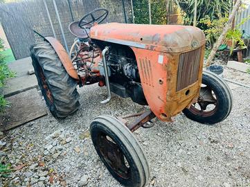 Same super Cassani d.a 38