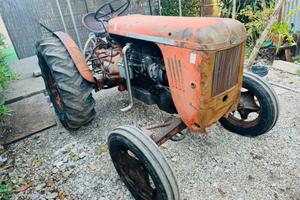 Same super Cassani d.a 38