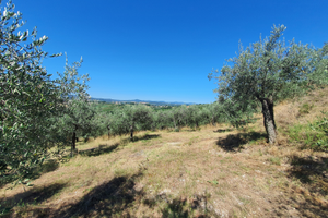 Terreno agricolo a Sangemini