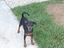 Immagine 1
