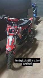 pit bike 125 lem