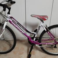 bicicletta 24 pollici 
