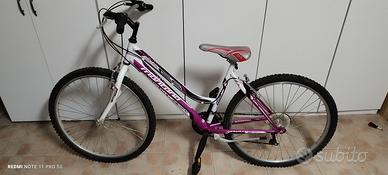 bicicletta 24 pollici 