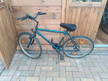 bicicletta 26 pollici