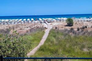 Direttamente sulla spiaggia in posizione unica