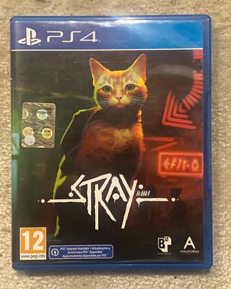 stray