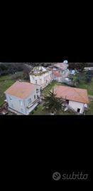Rustici con terreno e uliveto