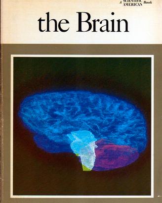 THE BRAIN - A "Scientific American" Book (1979)