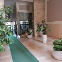 Appartamento Vomero Via Cilea 125 mq Terrazzo