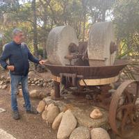 antico frantoio per olive