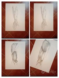 tavole  a scelta da incorniciare 50x70 