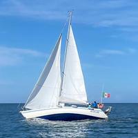 Raro Vallicelli 38 "Gattone" - '83