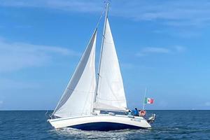 Raro Vallicelli 38 "Gattone" - '83