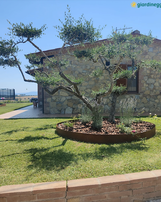 CERCHIO DA GIARDINO IN CORTEN