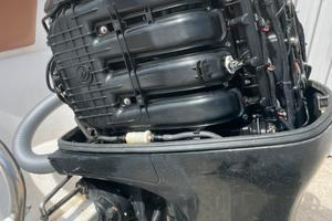 Mercury 115 efi ricambi