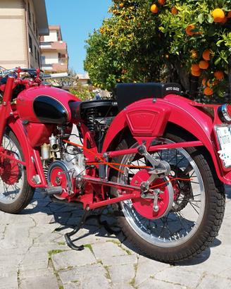 Guzzi airone sport 