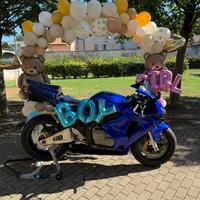 Honda CBR 600 RR