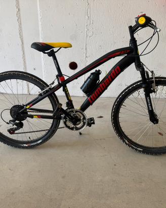 Mtb lombardo 24