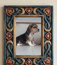 Beagle