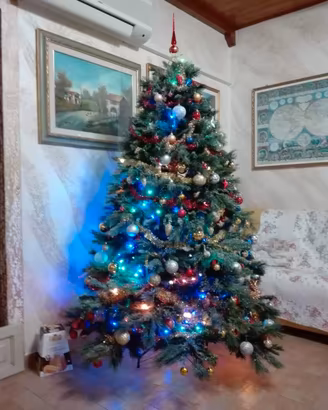 albero di Natale 