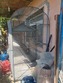 voliera gabbia grande  pappagalli 