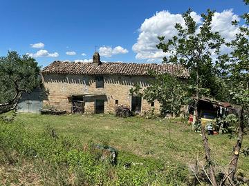 Casa colonica - Monte Giberto