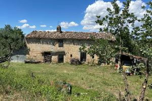 Casa colonica - Monte Giberto