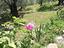 Immagine 21