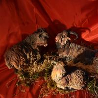 3 caproni grandi del presepe napoletano stile ‘700