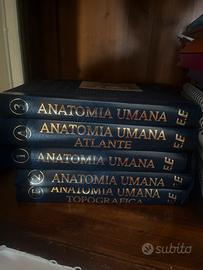 Libri Anatomia Anastasi